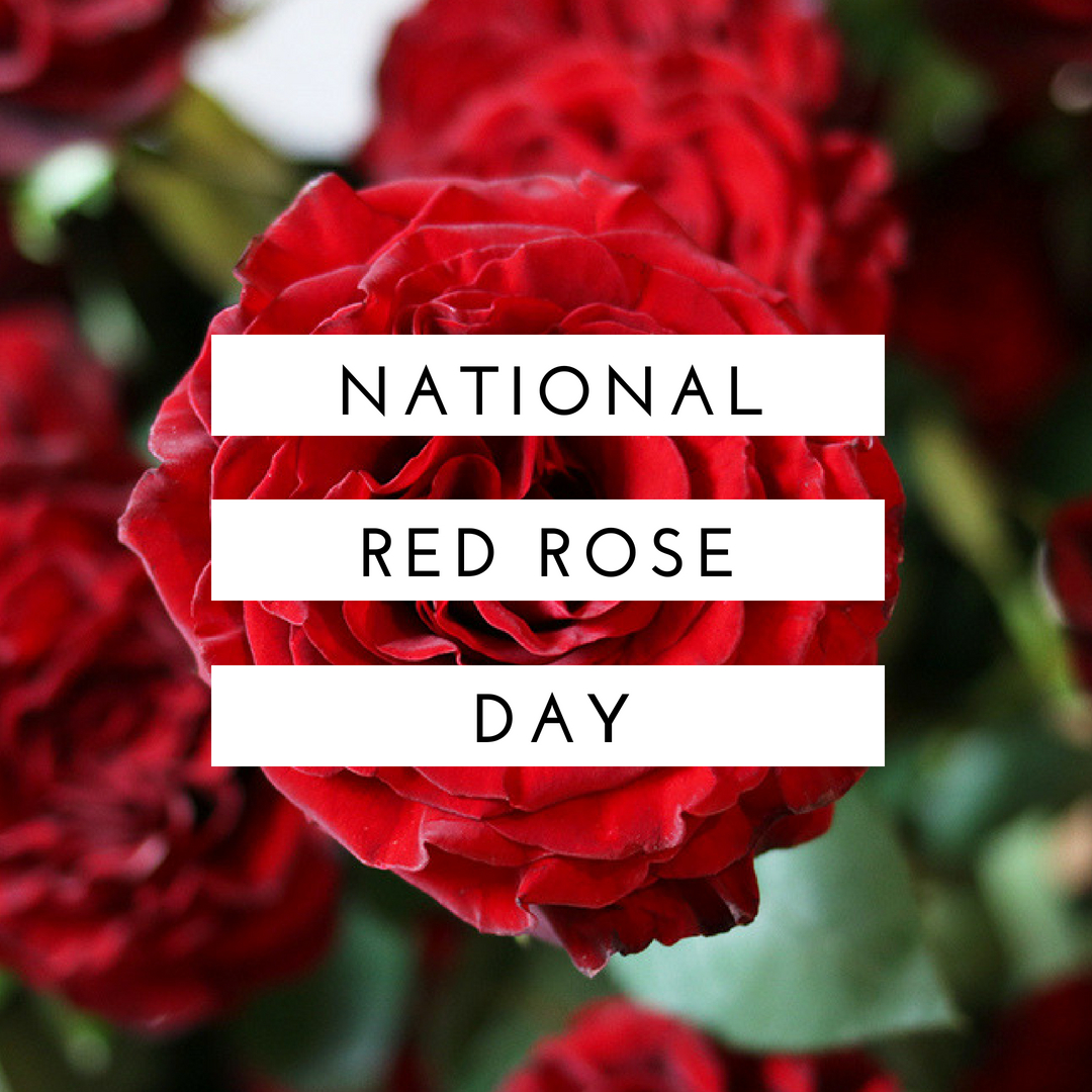 National Rose Month - FREE DOWNLOADS - DVFlora