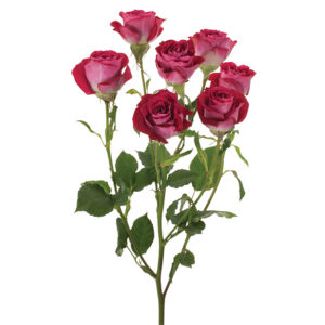 Roses Spray Pink-Hot Tanaga