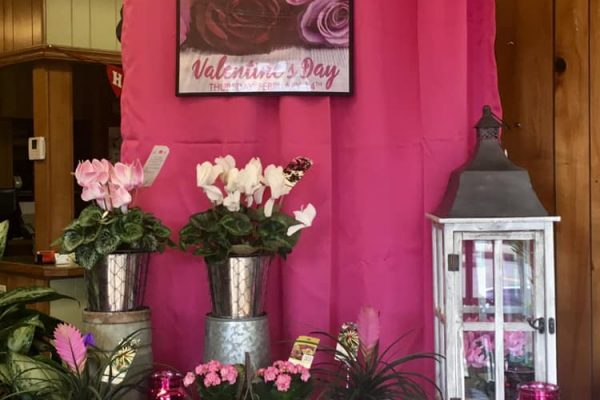 Gilmores Flower Shop