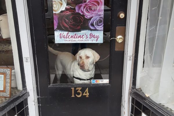 The Flower Cart & Gift Shoppe