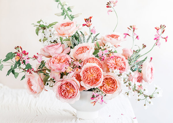 David Austin's new rose Phoebe in an arrangement.